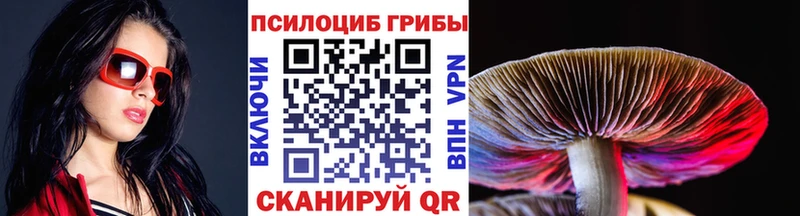 Галлюциногенные грибы Psilocybe  omg зеркало  Котово 